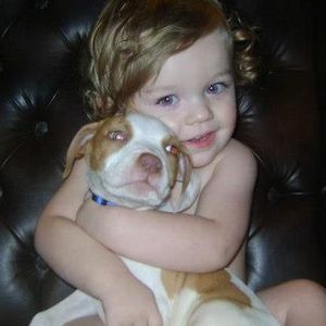 Meet your Posher, Ronnie